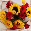 girasoles.28