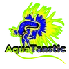 Aquatanstic