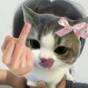 agstn7_al