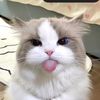 useraquarius14
