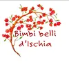 bimbibellidischia