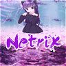 netrix71