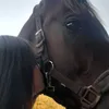 lili.equ