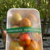 agro farm