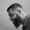 nettodeivid