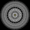 brandsamsara