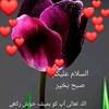 nisar.ahmad4231