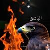 user8806509870317