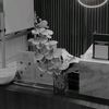 .ara_215