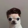 lerenee88