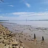 haylmh