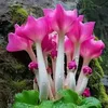 user59ug8j4rlq