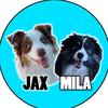 shay_jax_mila