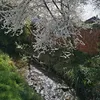 karikenou