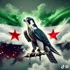 hazemtwfek