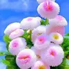 user5dj2jd1vd0