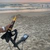 metal_detector._