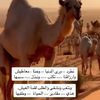 labed_easa2