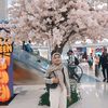 najiyatuszahroh