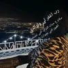 zainabali6204