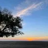 sam_alfallaj