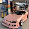 rhino__mercer