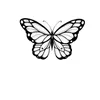 poppy_1666