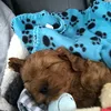 kiki_744
