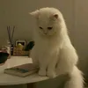 lwxisl_