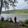 williamharvey682