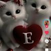 eldarnasirov4