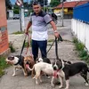soldadopitbull