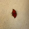 username3536710