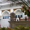 _zizan06