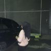 sxty_oh