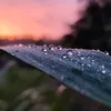 thanhhien190800
