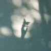 songtichcucmoingay_