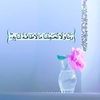salmaahmedelshaer