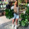 poshandrooted_