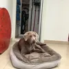 sibitabonita_