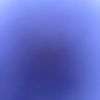 bluebutterfly0024