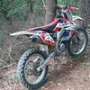mirko419