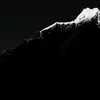 scorpio_6646