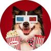 k9cinemas