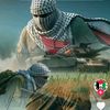 arisfatih489