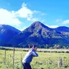 arcangelmike24