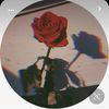 noura0044