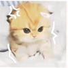 cutekucing_milki_cat