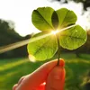Mộc🍀