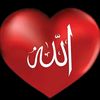 .falak.naz.56789